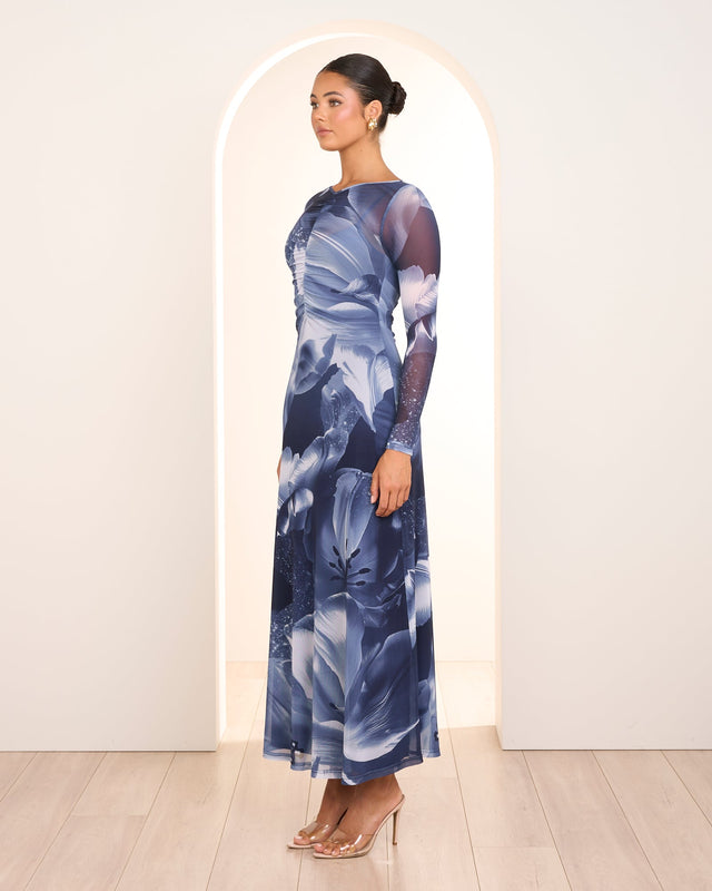 Farrah Long Sleeve Maxi Dress