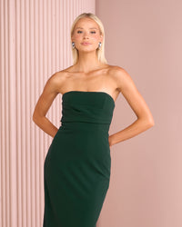 Meradeth Draped Bodice Gown