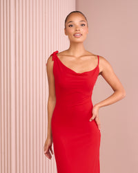 Umah Cowl Neck Mesh Dress