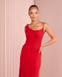 Umah Cowl Neck Mesh Dress