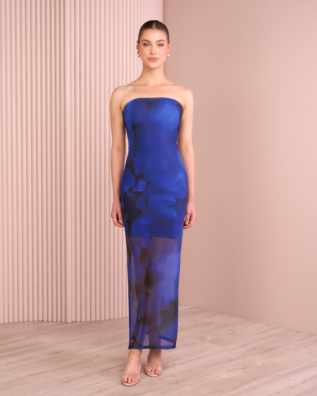 Abby Strapless Mesh Maxi Dress