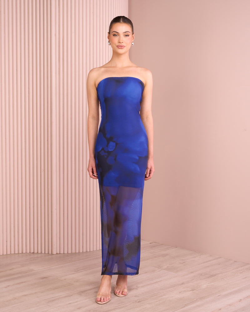 Abby Strapless Mesh Maxi Dress