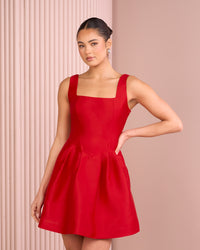 Bryar Mini Puff Skirt Dress