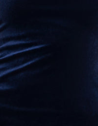 Daina One Shoulder Velvet Gown