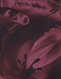 Lulu Slip Maxi Dress