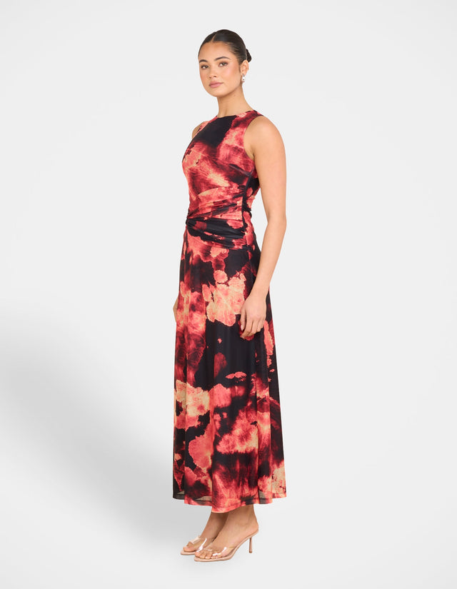 Eden Printed Mesh Maxi Dress