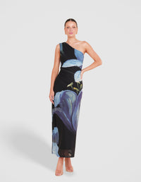 Paris Printed Mesh Maxi Dress