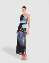 Paris Printed Mesh Maxi Dress