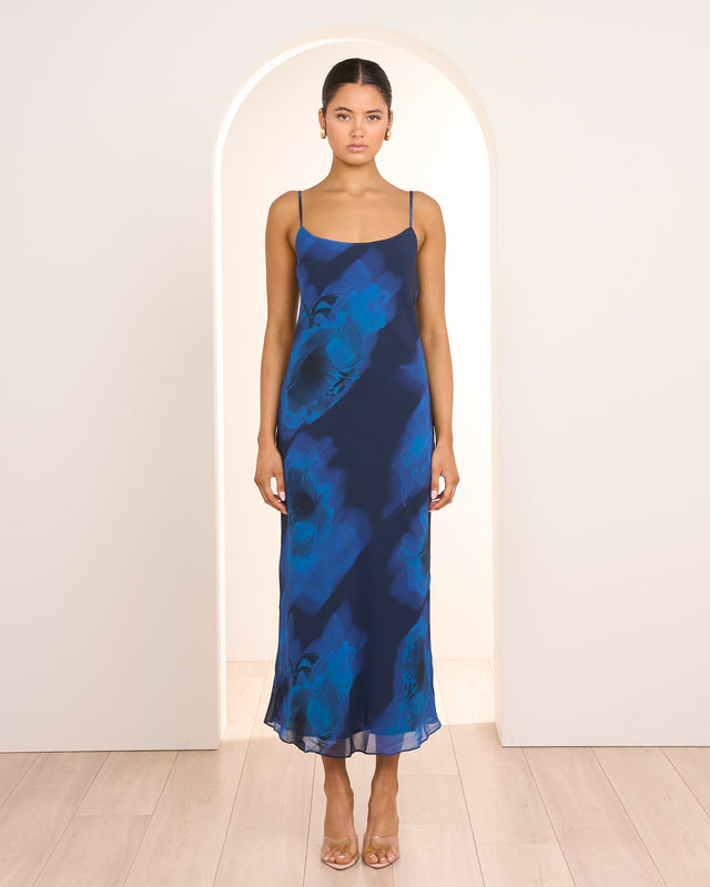 Aviva Slip Maxi Dress